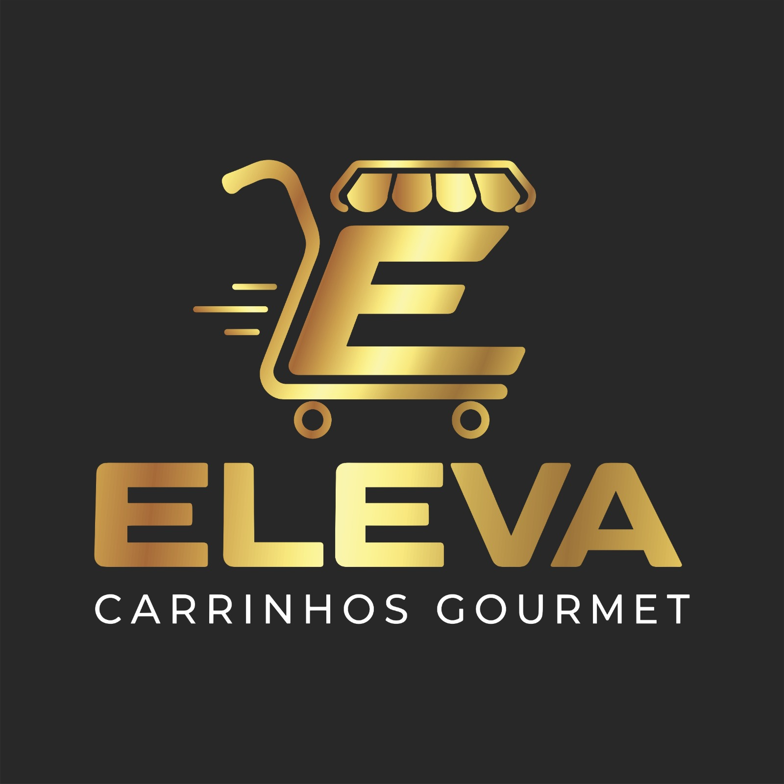 Eleva Logo